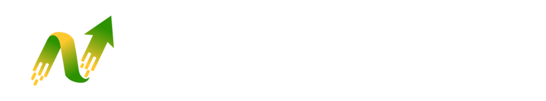 NV Wealth Solutions Logo
